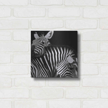 Luxe Metal Art 'Zebra VI' by Debra Van Swearingen, Metal Wall Art,12x12