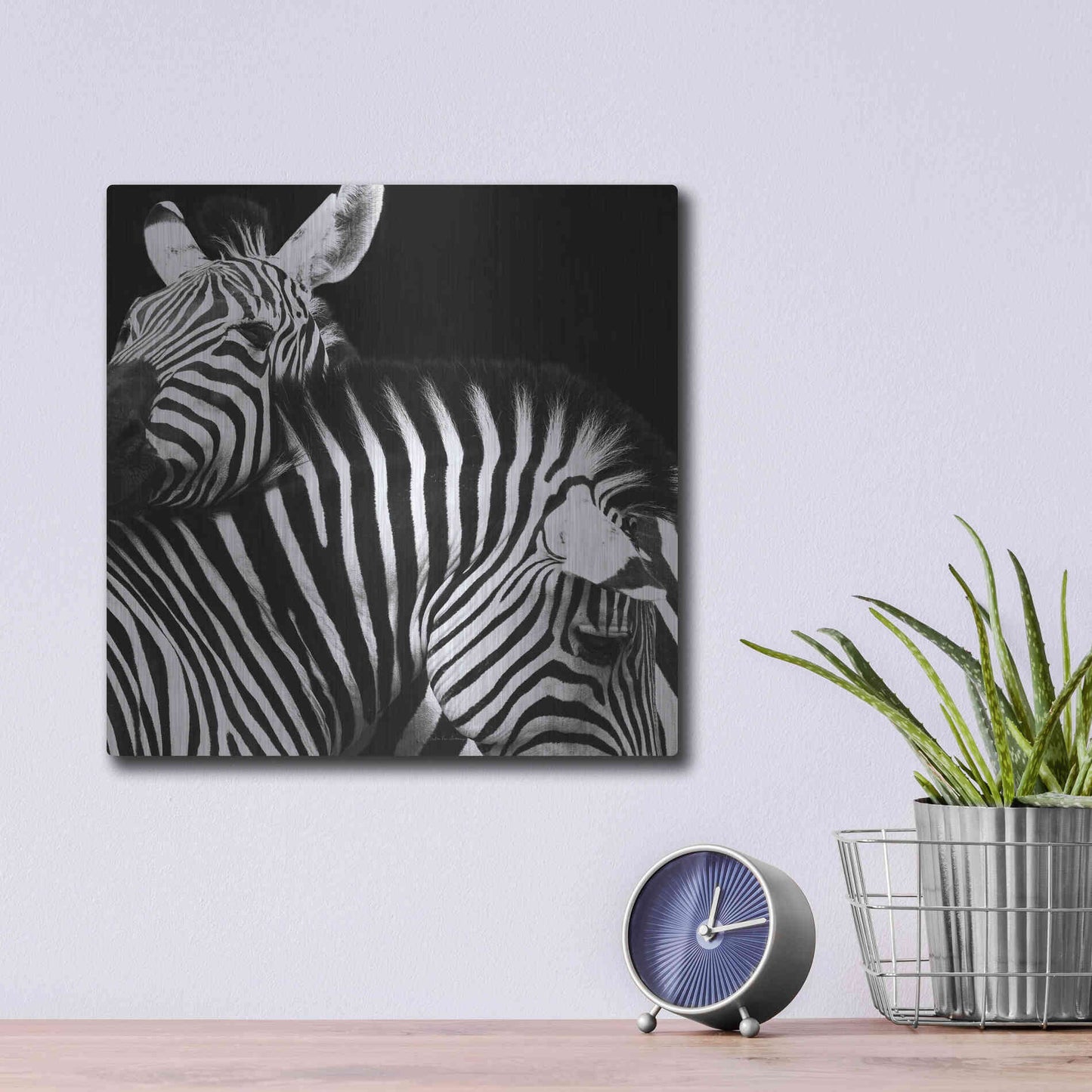 Luxe Metal Art 'Zebra VI' by Debra Van Swearingen, Metal Wall Art,12x12