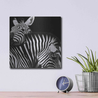 Luxe Metal Art 'Zebra VI' by Debra Van Swearingen, Metal Wall Art,12x12