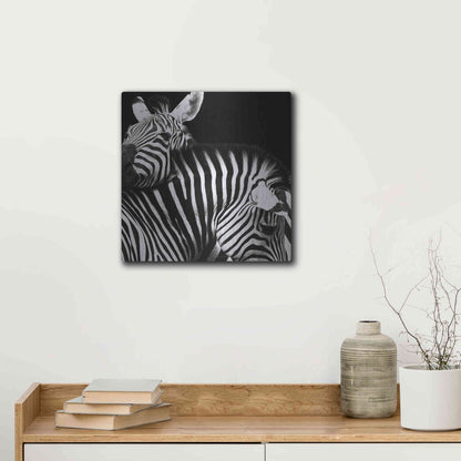 Luxe Metal Art 'Zebra VI' by Debra Van Swearingen, Metal Wall Art,12x12