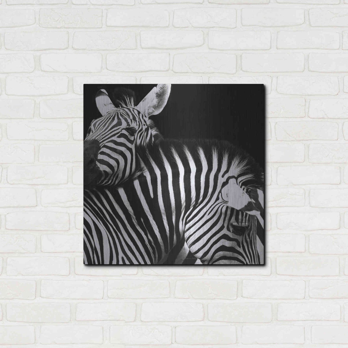 Luxe Metal Art 'Zebra VI' by Debra Van Swearingen, Metal Wall Art,24x24