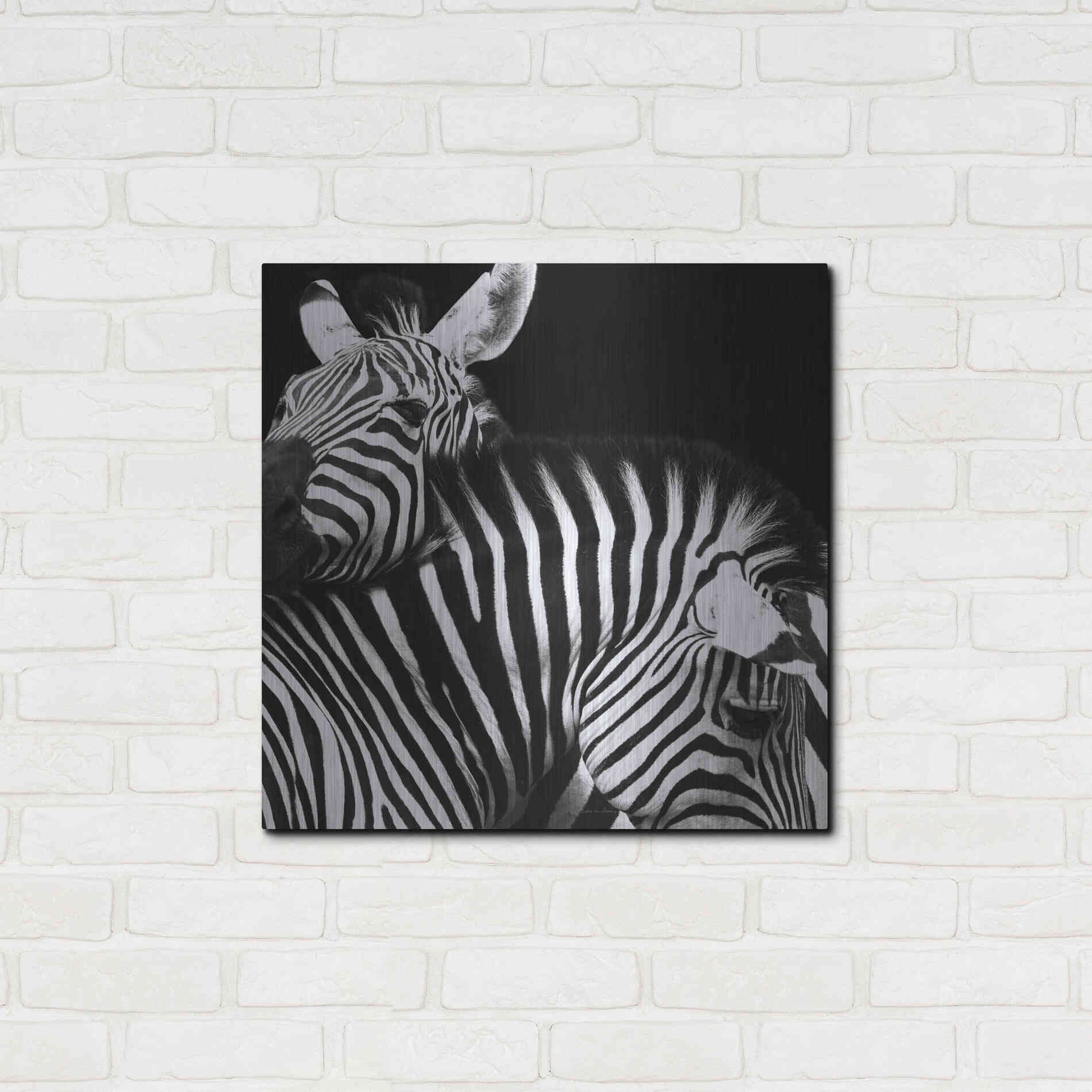 Luxe Metal Art 'Zebra VI' by Debra Van Swearingen, Metal Wall Art,24x24