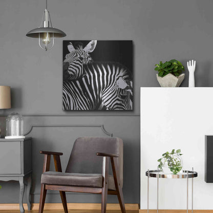 Luxe Metal Art 'Zebra VI' by Debra Van Swearingen, Metal Wall Art,24x24