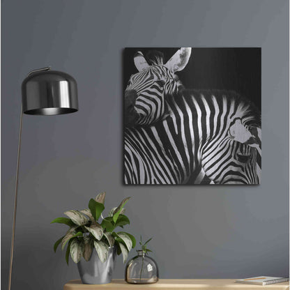 Luxe Metal Art 'Zebra VI' by Debra Van Swearingen, Metal Wall Art,24x24
