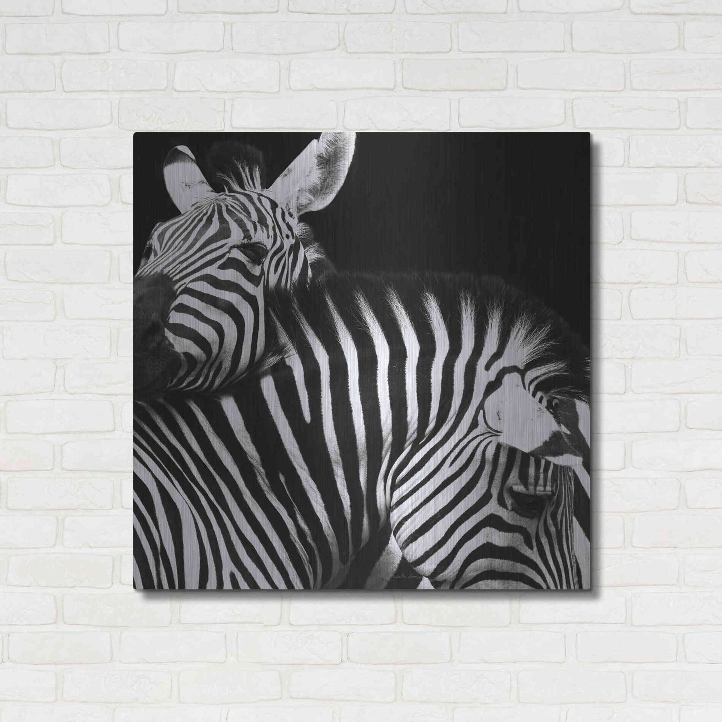 Luxe Metal Art 'Zebra VI' by Debra Van Swearingen, Metal Wall Art,36x36