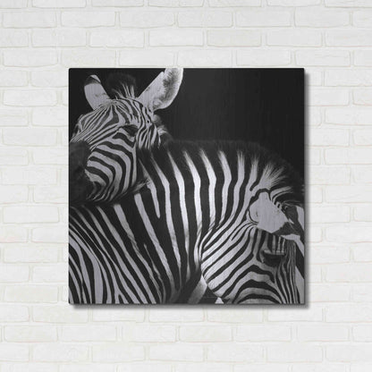 Luxe Metal Art 'Zebra VI' by Debra Van Swearingen, Metal Wall Art,36x36