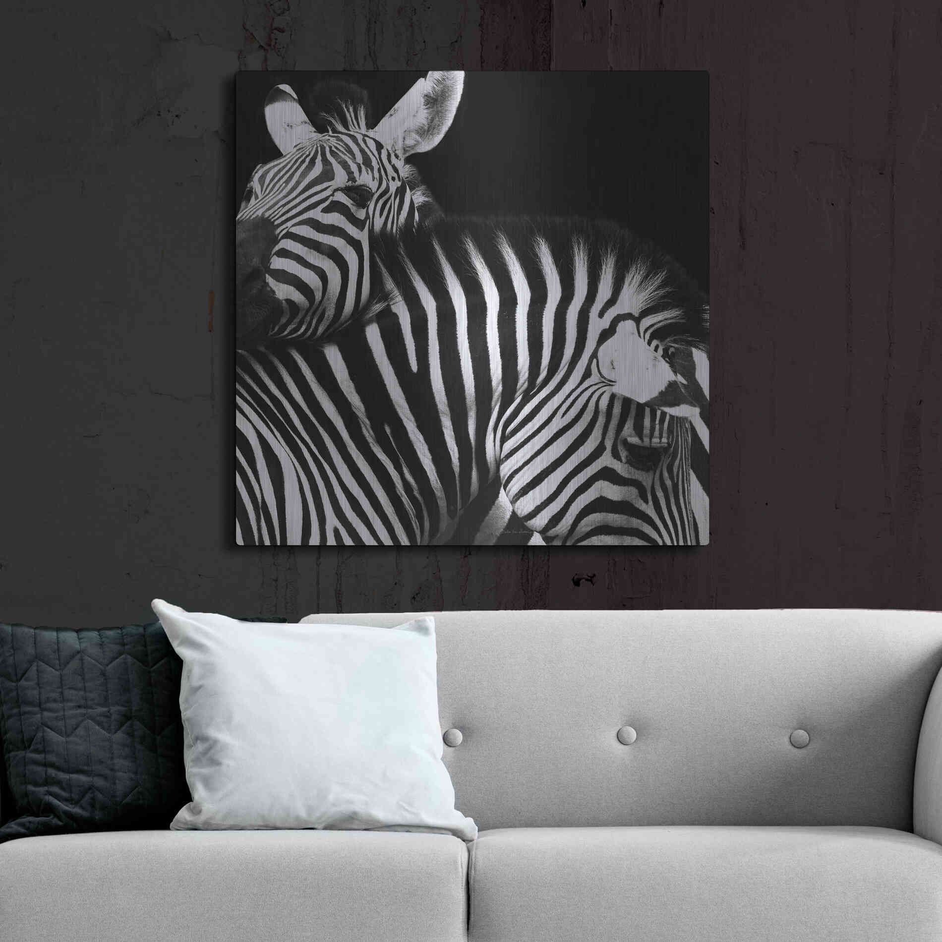 Luxe Metal Art 'Zebra VI' by Debra Van Swearingen, Metal Wall Art,36x36