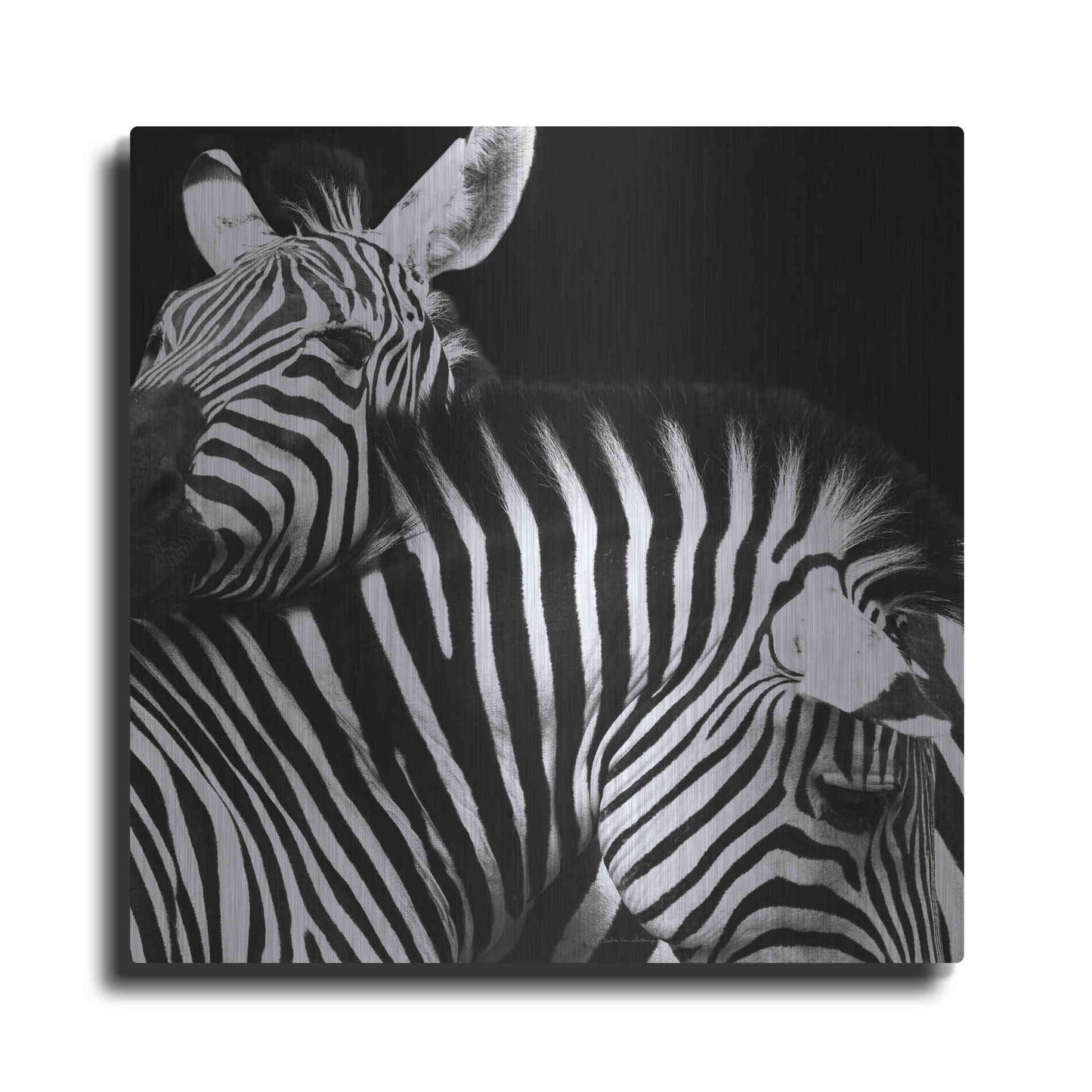 Luxe Metal Art 'Zebra VI' by Debra Van Swearingen, Metal Wall Art