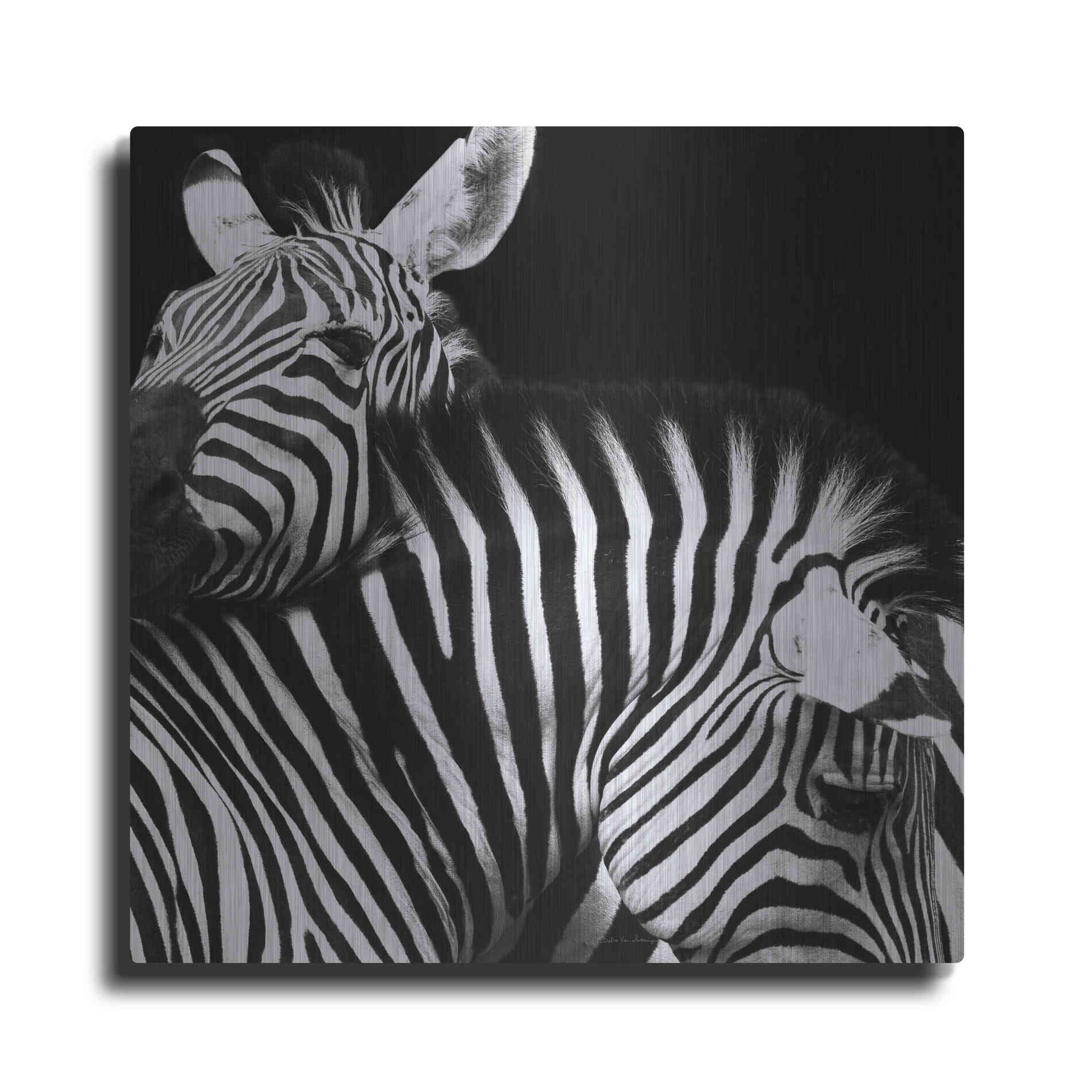Luxe Metal Art 'Zebra VI' by Debra Van Swearingen, Metal Wall Art
