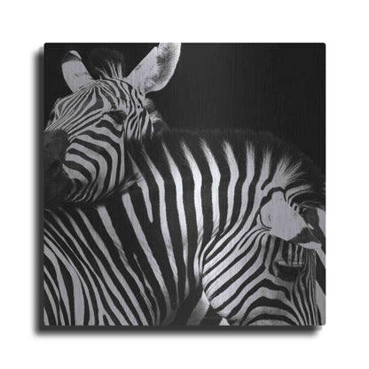 Luxe Metal Art 'Zebra VI' by Debra Van Swearingen, Metal Wall Art