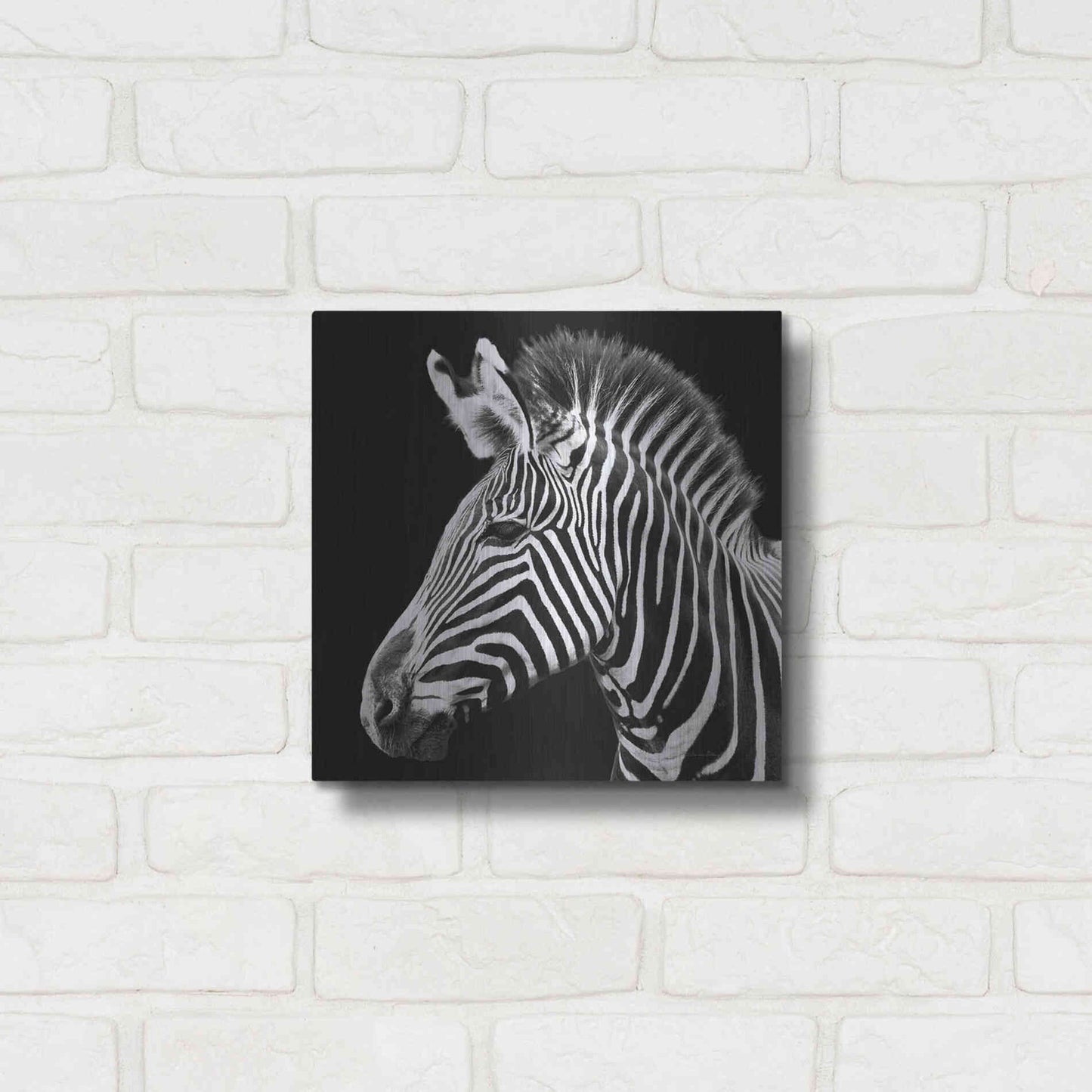 Luxe Metal Art 'Zebra VII' by Debra Van Swearingen, Metal Wall Art,12x12