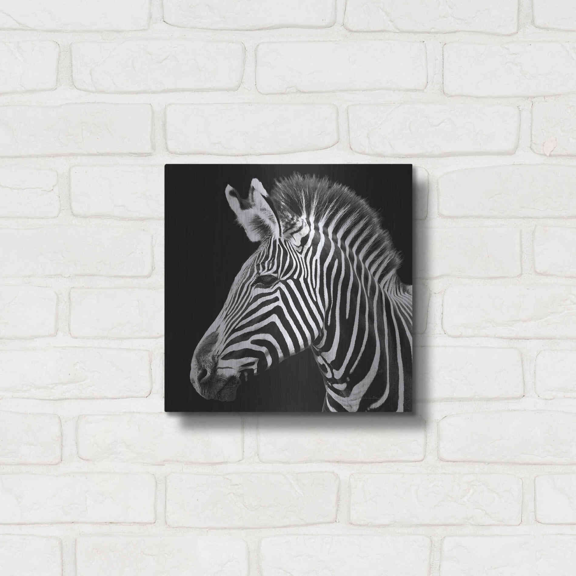 Luxe Metal Art 'Zebra VII' by Debra Van Swearingen, Metal Wall Art,12x12