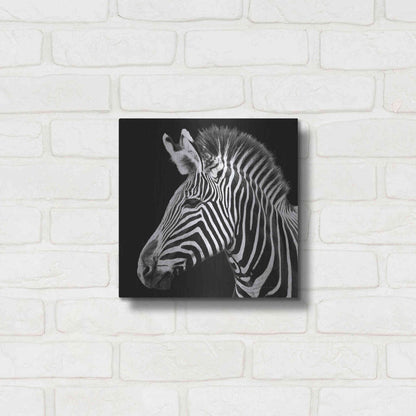 Luxe Metal Art 'Zebra VII' by Debra Van Swearingen, Metal Wall Art,12x12