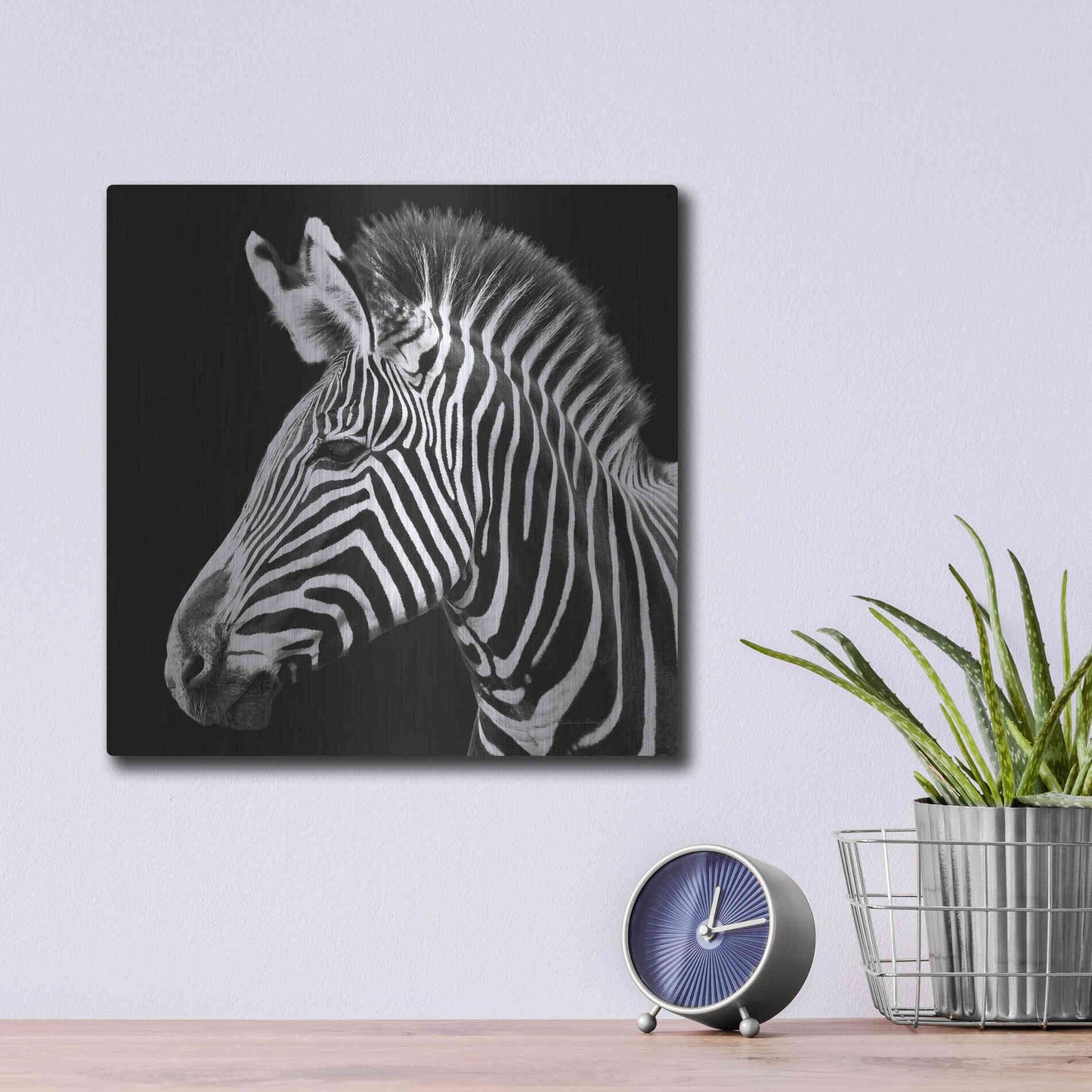 Luxe Metal Art 'Zebra VII' by Debra Van Swearingen, Metal Wall Art,12x12