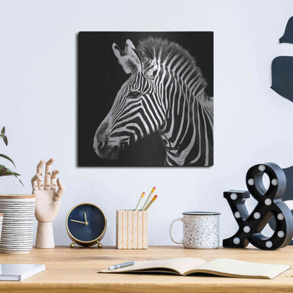 Luxe Metal Art 'Zebra VII' by Debra Van Swearingen, Metal Wall Art,12x12