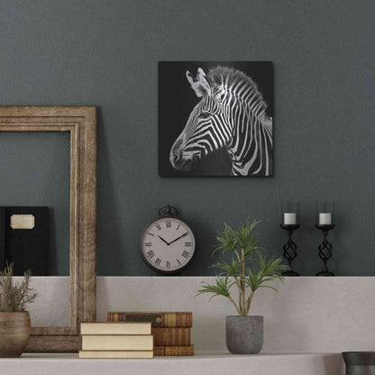 Luxe Metal Art 'Zebra VII' by Debra Van Swearingen, Metal Wall Art,12x12