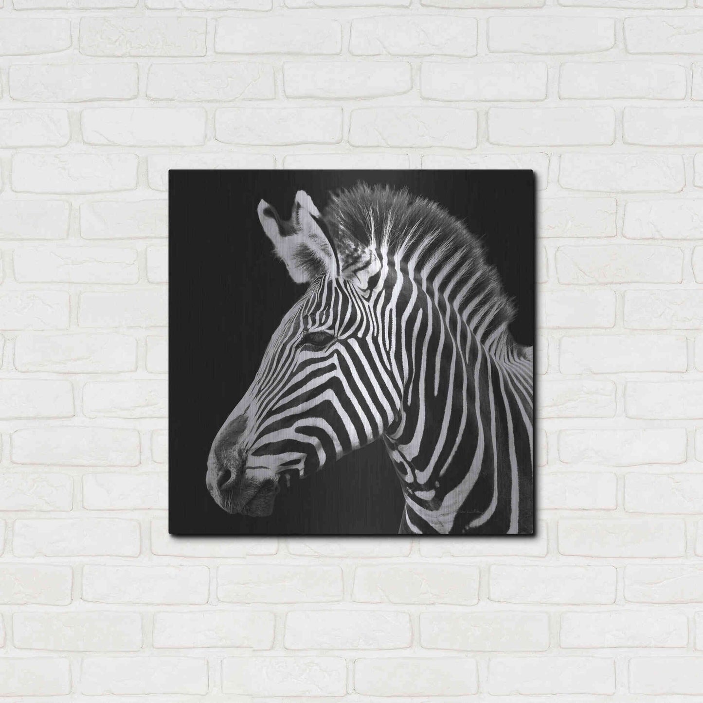 Luxe Metal Art 'Zebra VII' by Debra Van Swearingen, Metal Wall Art,24x24