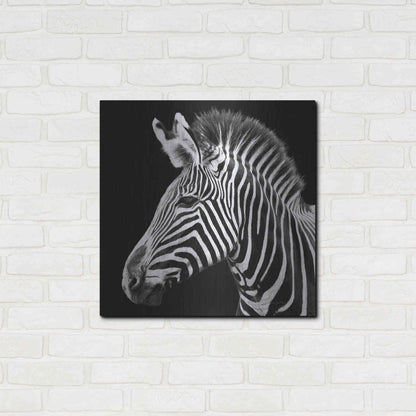 Luxe Metal Art 'Zebra VII' by Debra Van Swearingen, Metal Wall Art,24x24