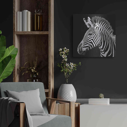 Luxe Metal Art 'Zebra VII' by Debra Van Swearingen, Metal Wall Art,24x24