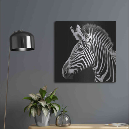 Luxe Metal Art 'Zebra VII' by Debra Van Swearingen, Metal Wall Art,24x24