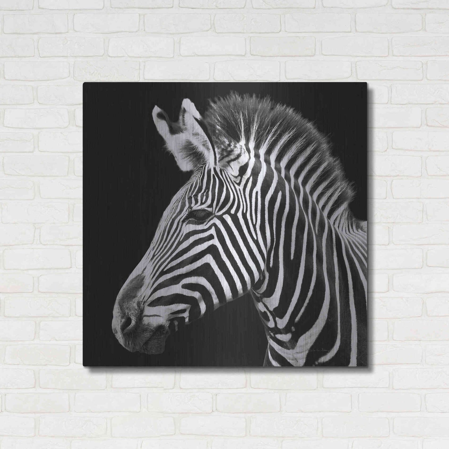 Luxe Metal Art 'Zebra VII' by Debra Van Swearingen, Metal Wall Art,36x36