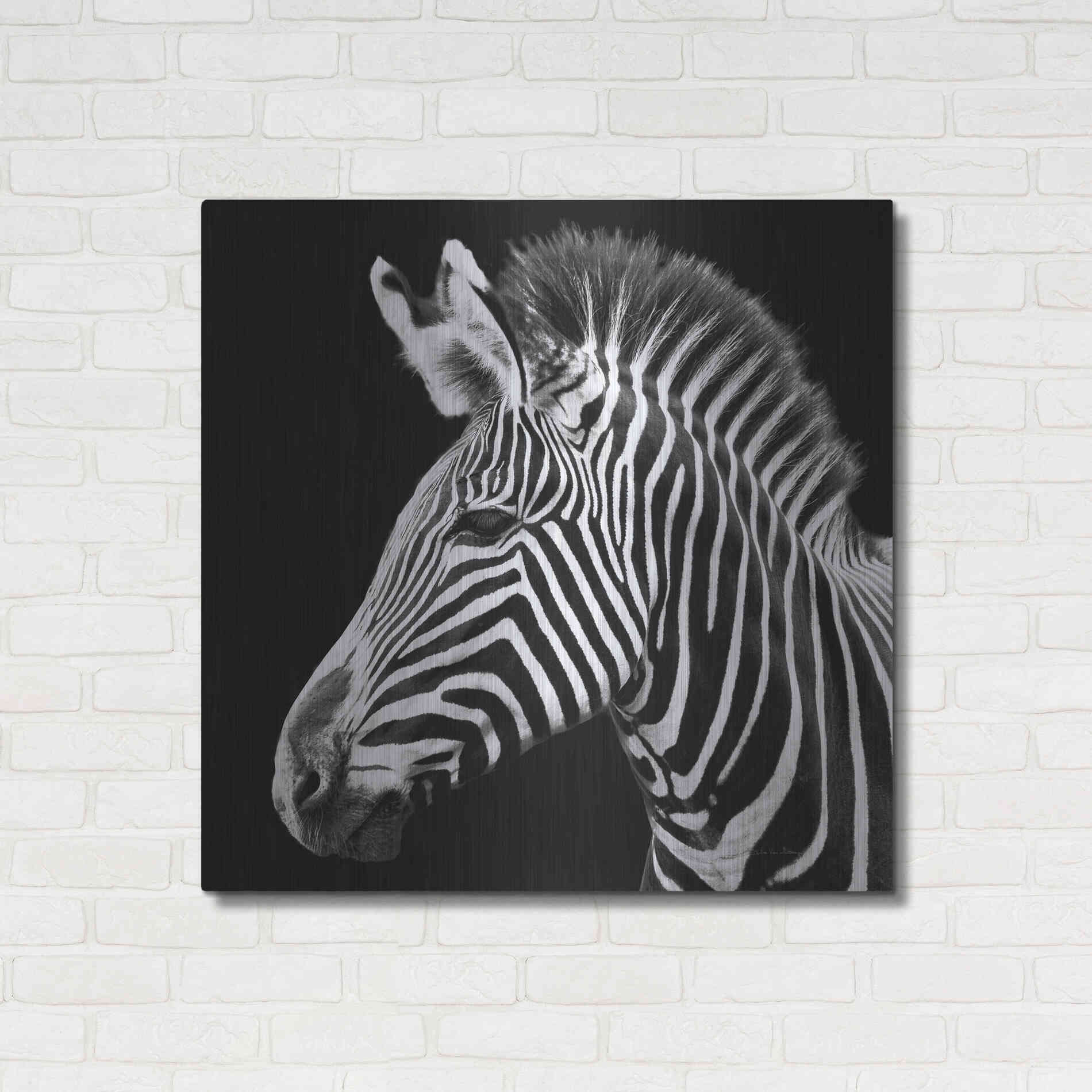Luxe Metal Art 'Zebra VII' by Debra Van Swearingen, Metal Wall Art,36x36