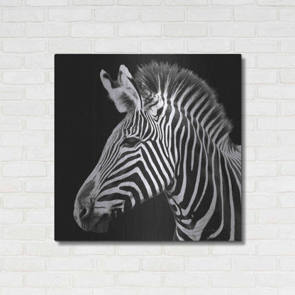 Luxe Metal Art 'Zebra VII' by Debra Van Swearingen, Metal Wall Art,36x36