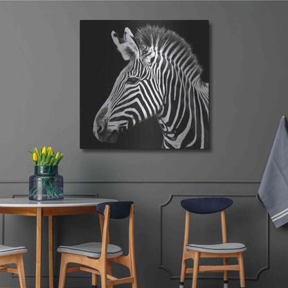 Luxe Metal Art 'Zebra VII' by Debra Van Swearingen, Metal Wall Art,36x36