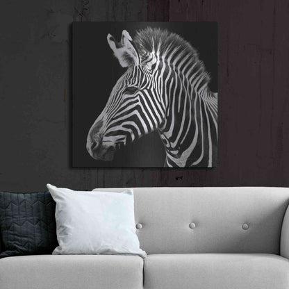 Luxe Metal Art 'Zebra VII' by Debra Van Swearingen, Metal Wall Art,36x36