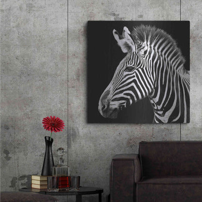 Luxe Metal Art 'Zebra VII' by Debra Van Swearingen, Metal Wall Art,36x36