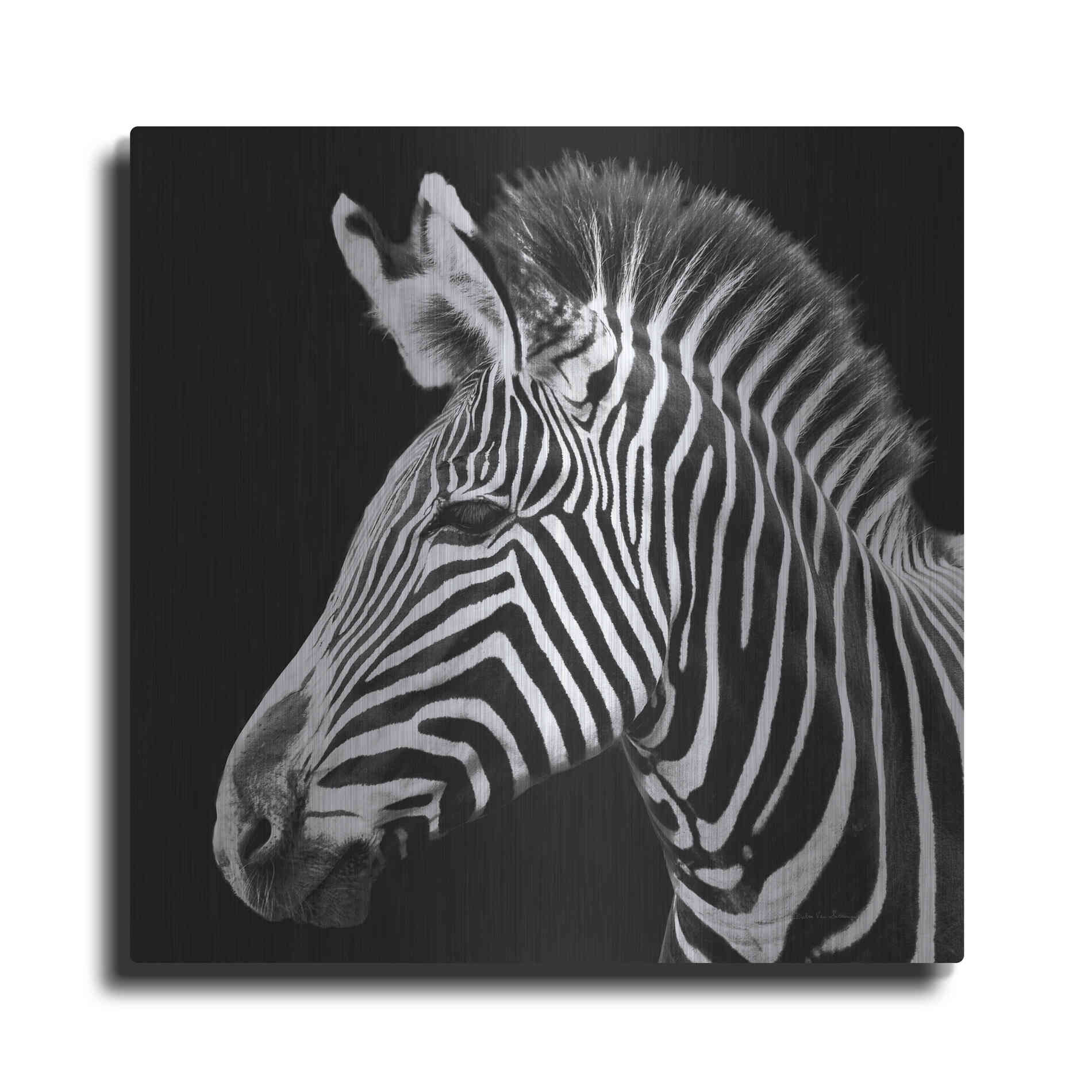 Luxe Metal Art 'Zebra VII' by Debra Van Swearingen, Metal Wall Art