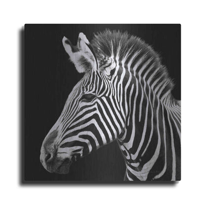 Luxe Metal Art 'Zebra VII' by Debra Van Swearingen, Metal Wall Art