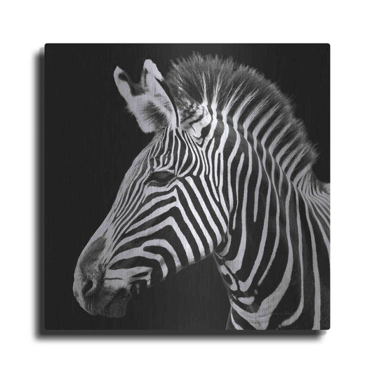 Luxe Metal Art 'Zebra VII' by Debra Van Swearingen, Metal Wall Art