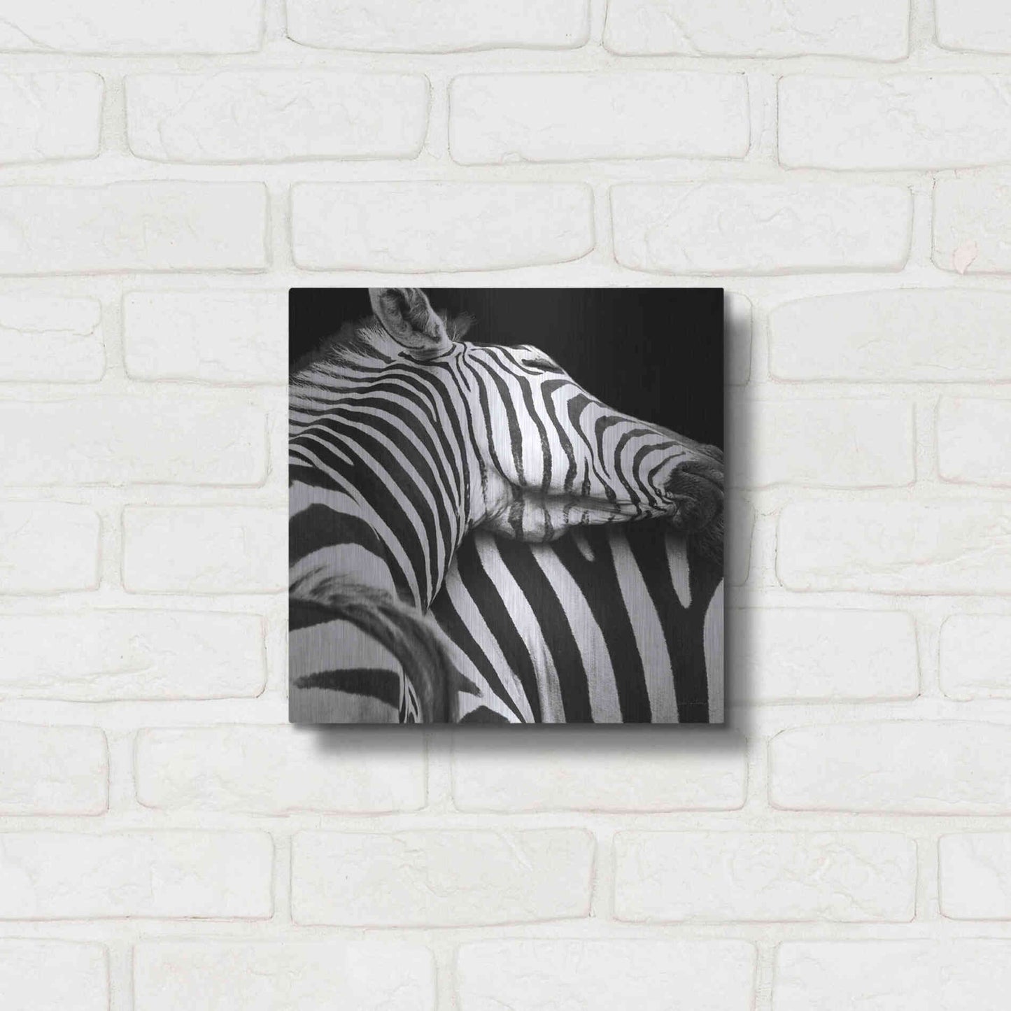 Luxe Metal Art 'Zebra VIII' by Debra Van Swearingen, Metal Wall Art,12x12