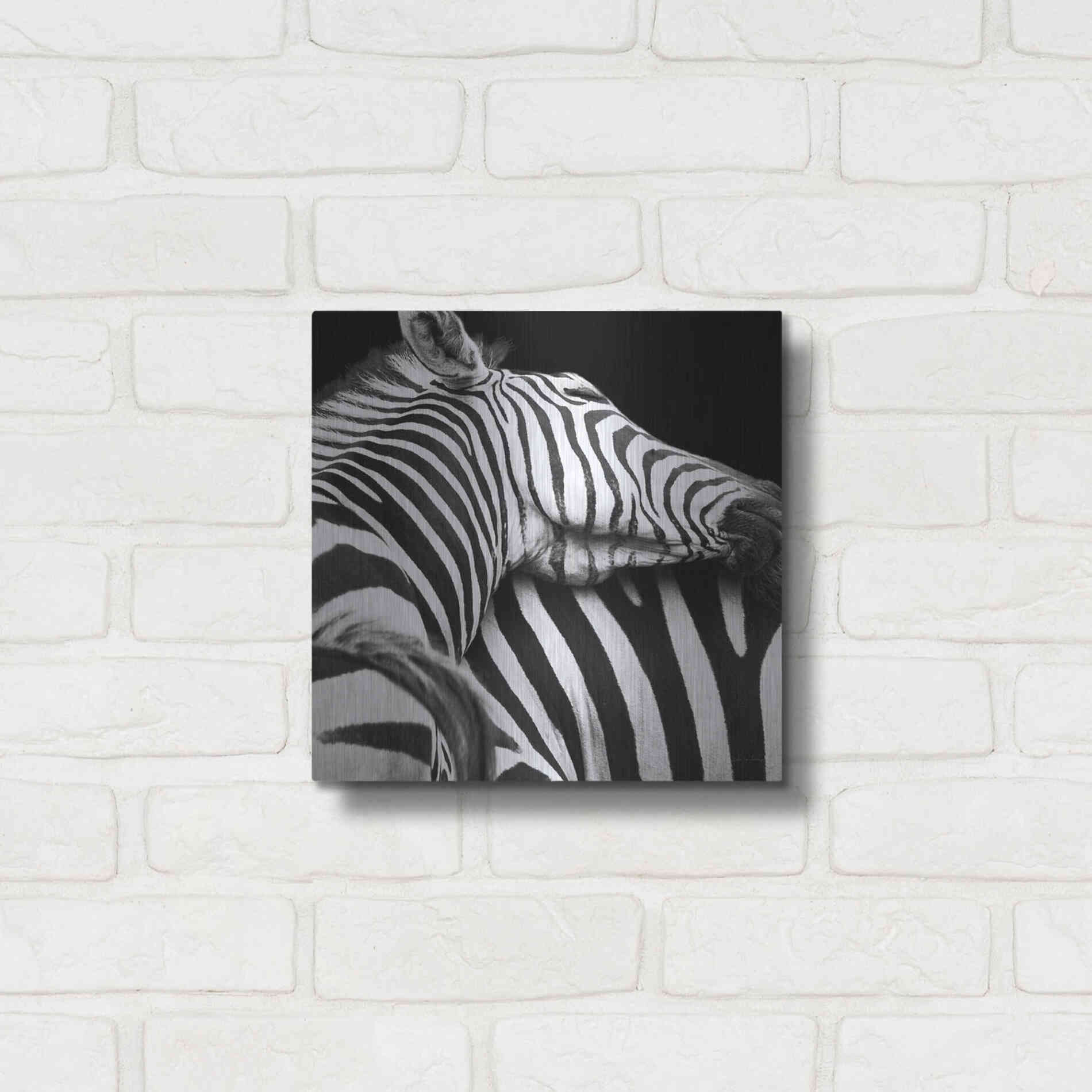 Luxe Metal Art 'Zebra VIII' by Debra Van Swearingen, Metal Wall Art,12x12