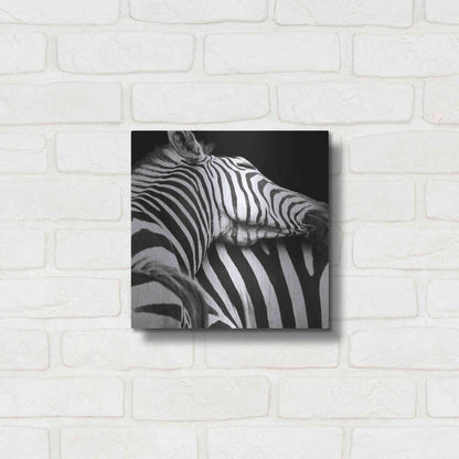 Luxe Metal Art 'Zebra VIII' by Debra Van Swearingen, Metal Wall Art,12x12