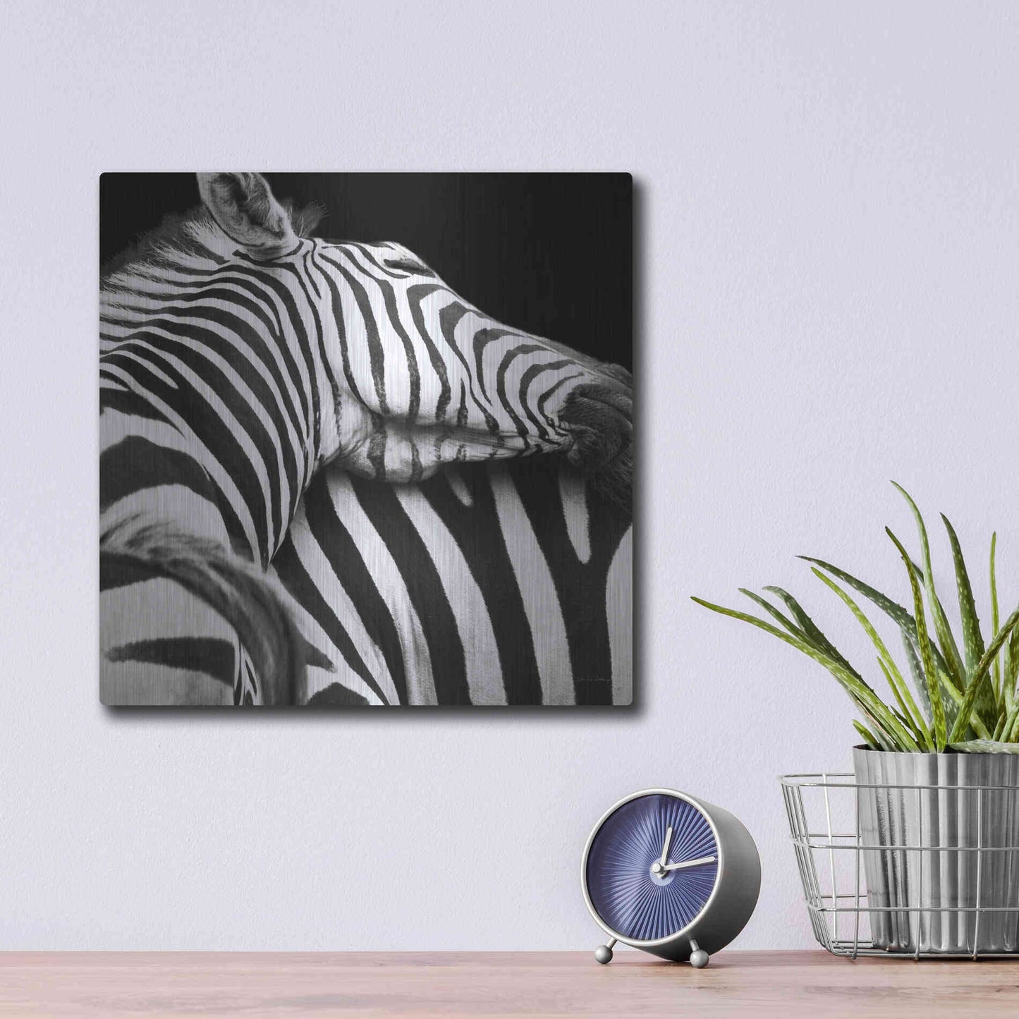 Luxe Metal Art 'Zebra VIII' by Debra Van Swearingen, Metal Wall Art,12x12