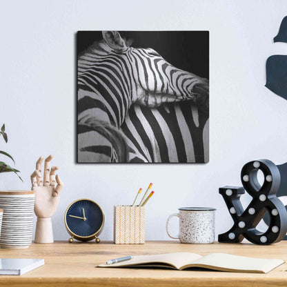 Luxe Metal Art 'Zebra VIII' by Debra Van Swearingen, Metal Wall Art,12x12