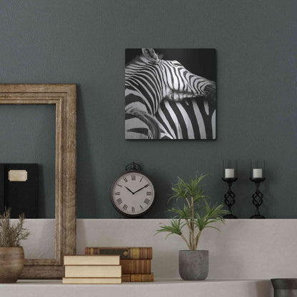 Luxe Metal Art 'Zebra VIII' by Debra Van Swearingen, Metal Wall Art,12x12