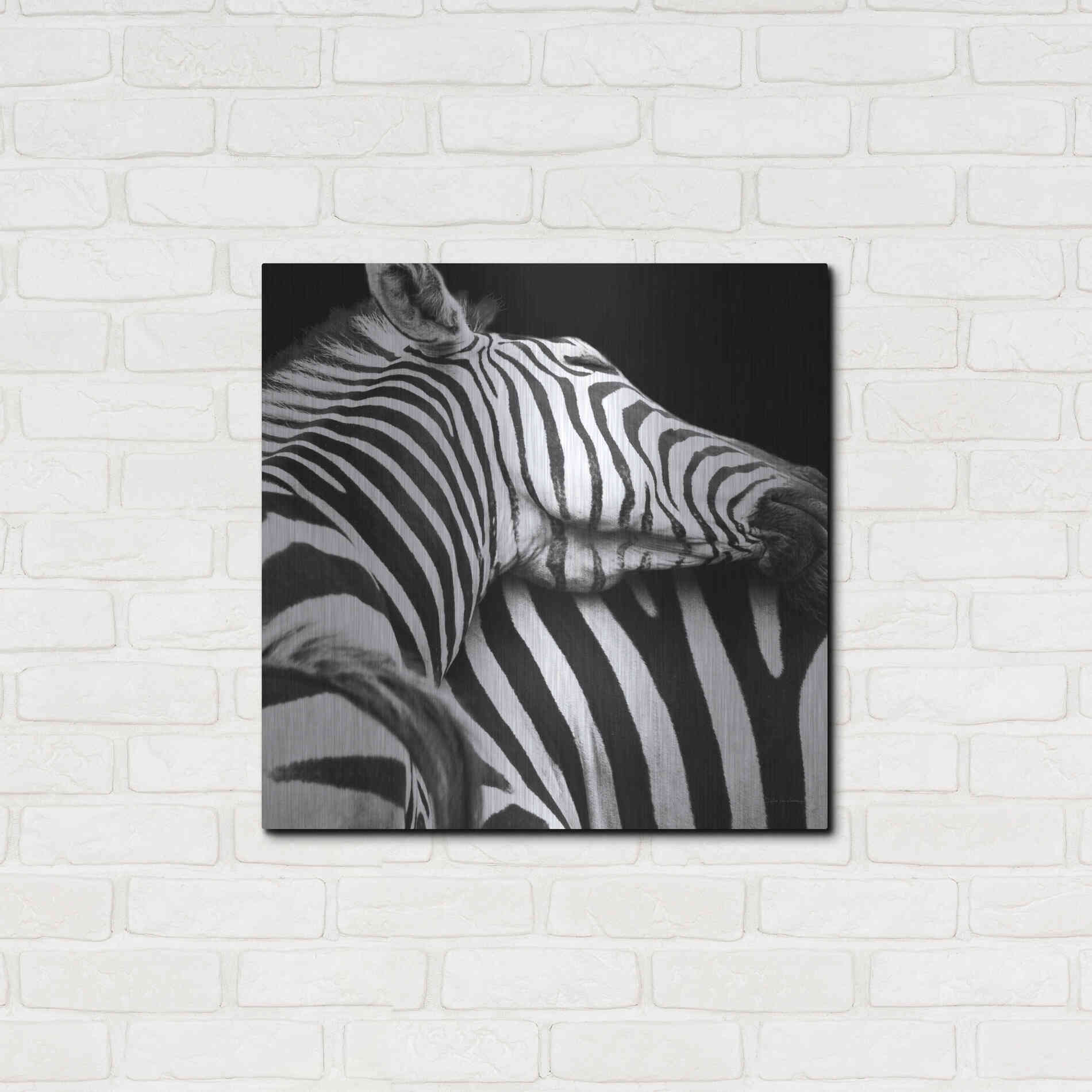 Luxe Metal Art 'Zebra VIII' by Debra Van Swearingen, Metal Wall Art,24x24