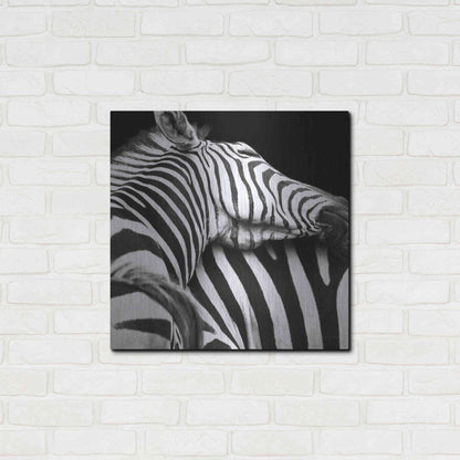 Luxe Metal Art 'Zebra VIII' by Debra Van Swearingen, Metal Wall Art,24x24