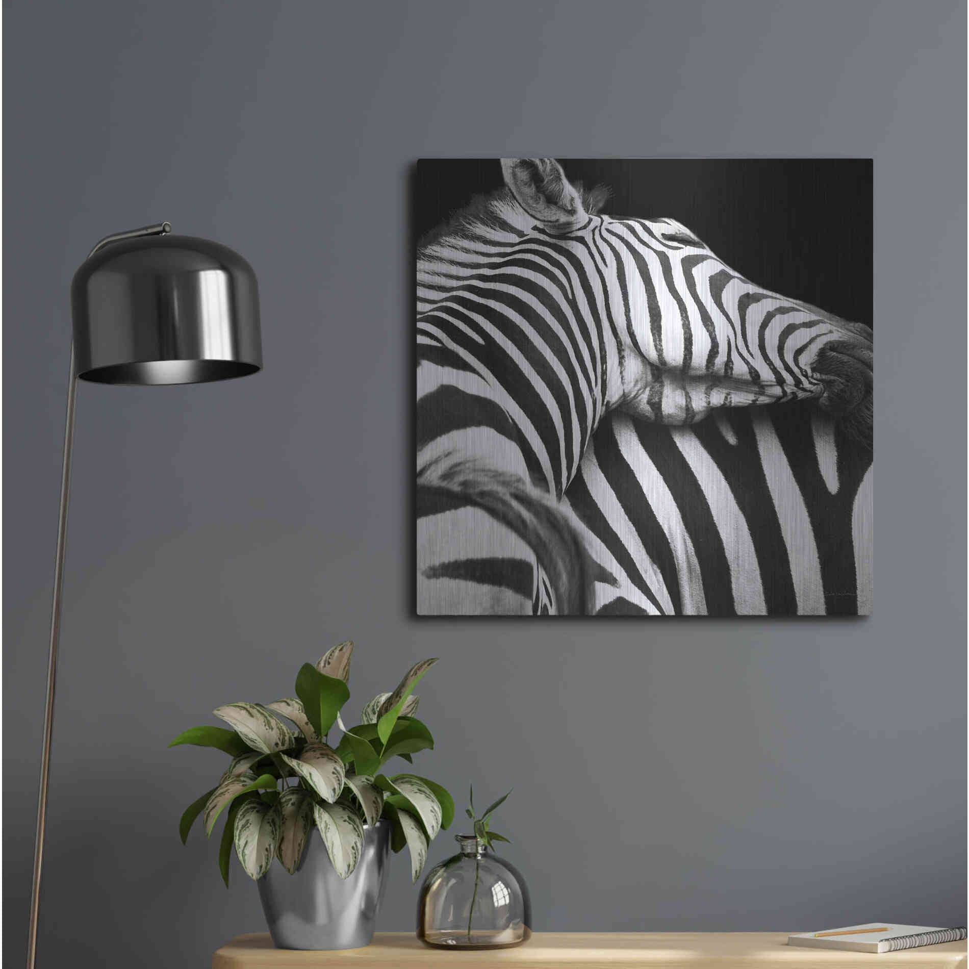 Luxe Metal Art 'Zebra VIII' by Debra Van Swearingen, Metal Wall Art,24x24
