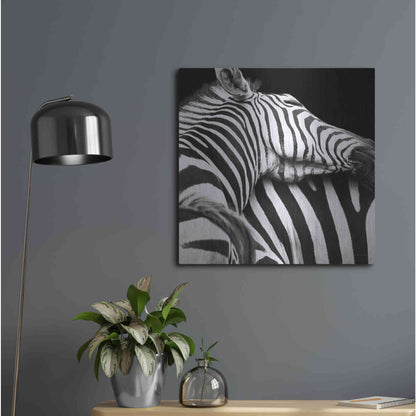 Luxe Metal Art 'Zebra VIII' by Debra Van Swearingen, Metal Wall Art,24x24