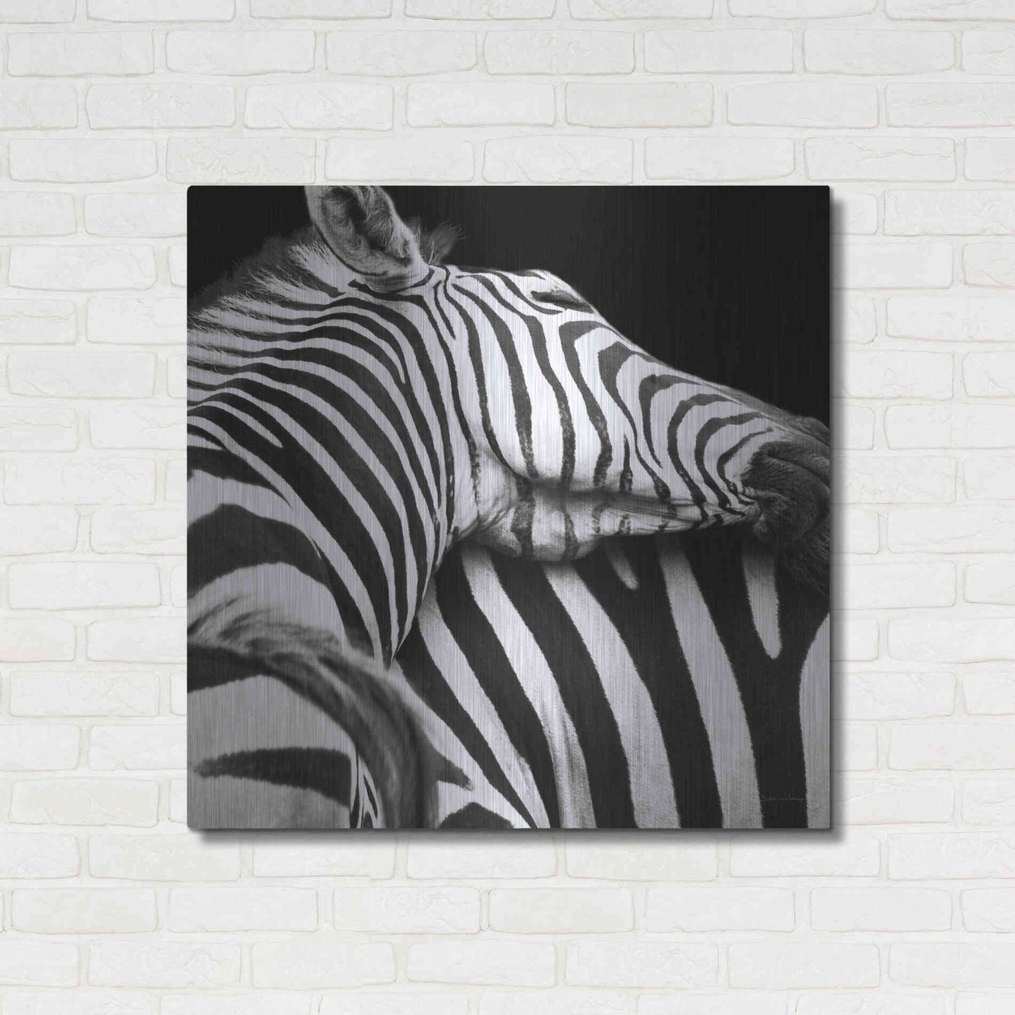 Luxe Metal Art 'Zebra VIII' by Debra Van Swearingen, Metal Wall Art,36x36