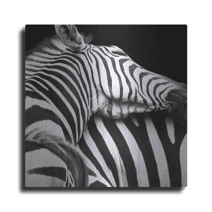 Luxe Metal Art 'Zebra VIII' by Debra Van Swearingen, Metal Wall Art