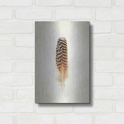 Luxe Metal Art 'Feather I' by Debra Van Swearingen, Metal Wall Art,12x16