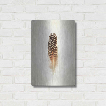 Luxe Metal Art 'Feather I' by Debra Van Swearingen, Metal Wall Art,16x24