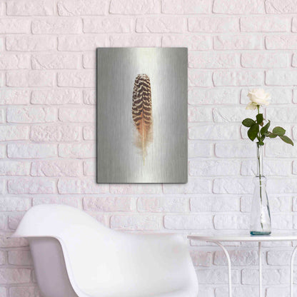 Luxe Metal Art 'Feather I' by Debra Van Swearingen, Metal Wall Art,16x24