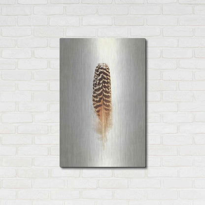 Luxe Metal Art 'Feather I' by Debra Van Swearingen, Metal Wall Art,24x36