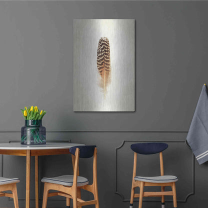 Luxe Metal Art 'Feather I' by Debra Van Swearingen, Metal Wall Art,24x36